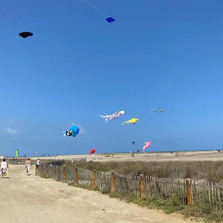 L'appart Suspendu Sur Le Port Apartment Leucate