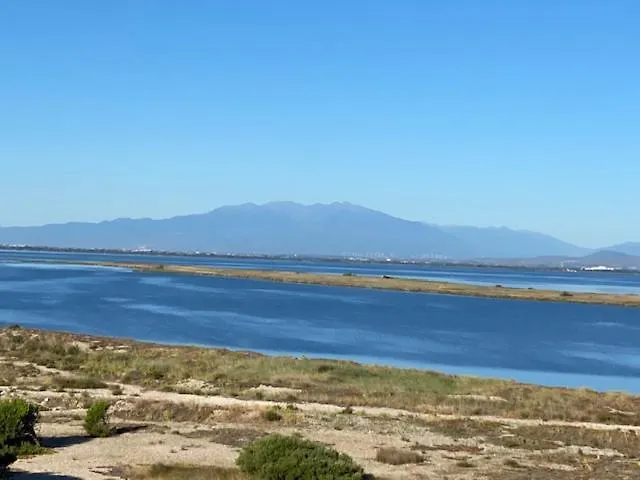 Apartamento L'appart Suspendu Sur Le Port Leucate